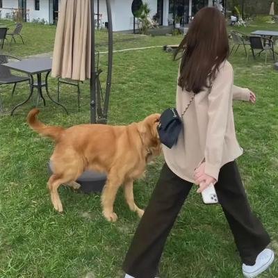 蜜恋失心第二季